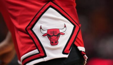 chicago bulls logo