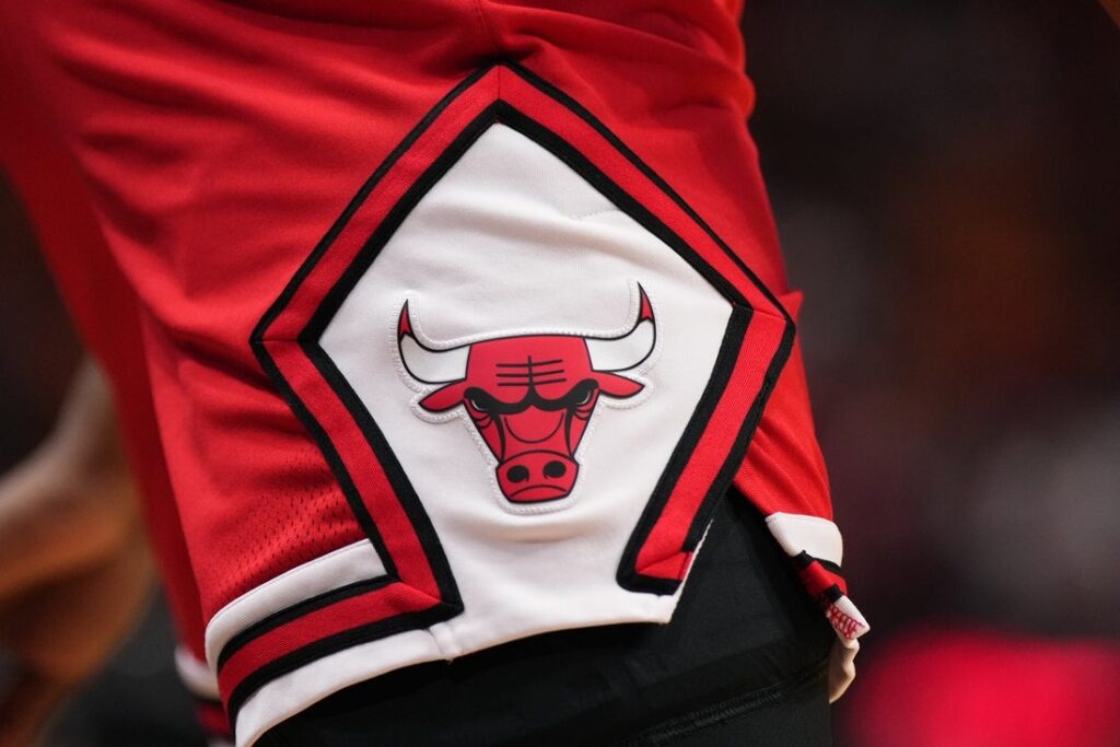 chicago bulls logo