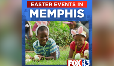 Things to do this weekend in and around Memphis | News