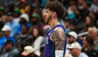 Column: Hornets’ past year was a resounding success | Sports
