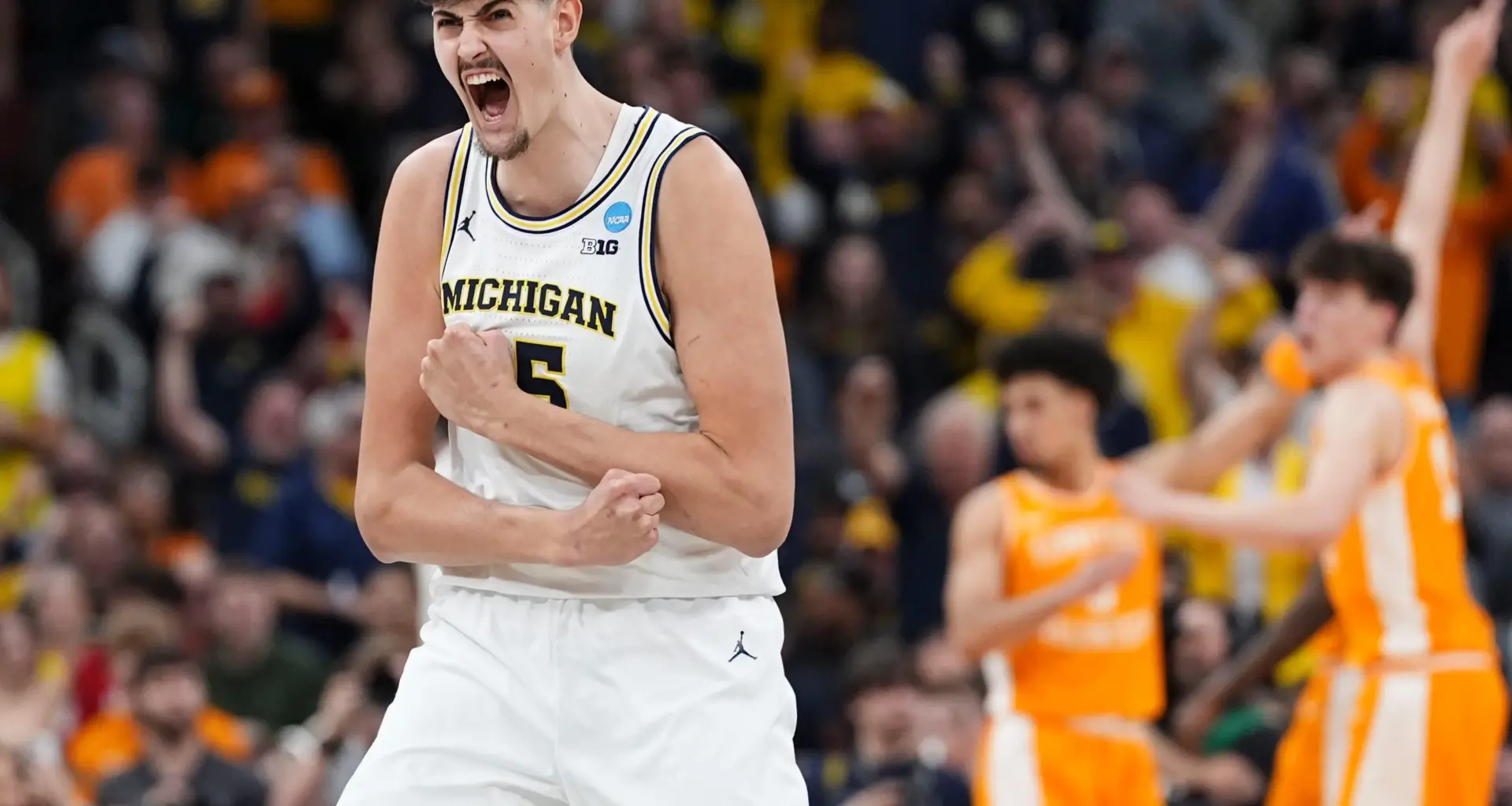 Aday Mara 2026 NBA Draft Profile