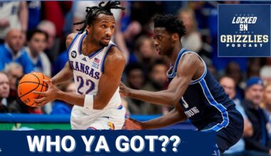 Which potential top-four picks make the most sense for the Memphis Grizzlies?