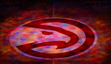 Viral post over hawk hiding in plain sight sparks discussion