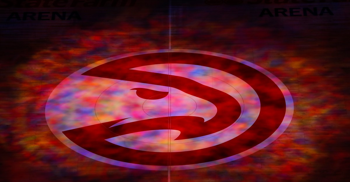 Viral post over hawk hiding in plain sight sparks discussion