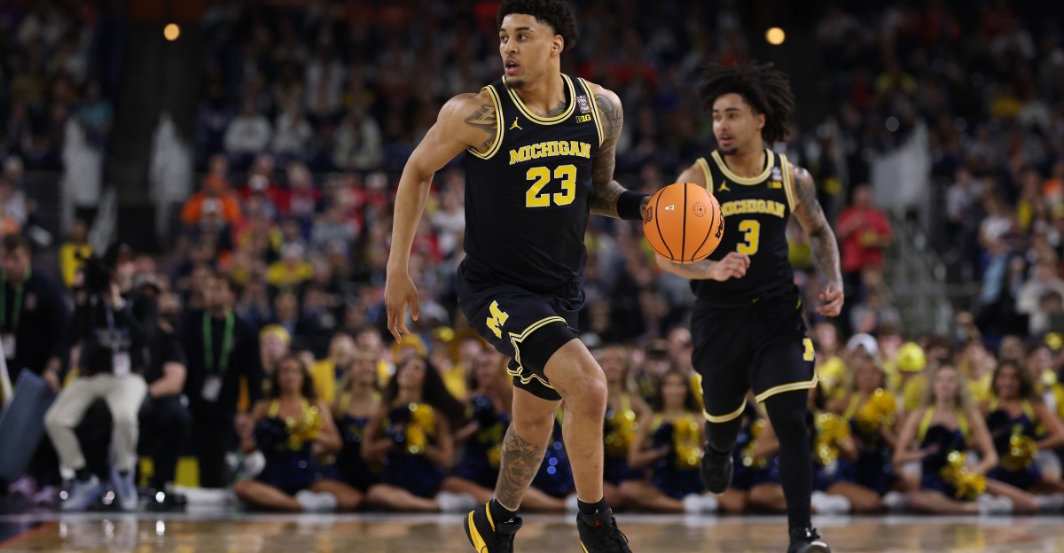 Michigan Basketball transfer portal wishlist