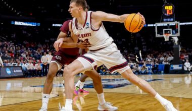 Kentucky transfer targets Paulius Murauskas and Terrence Brown go off the board