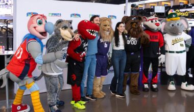 Kings 22-60 record leaves fans disappointed again – The Express