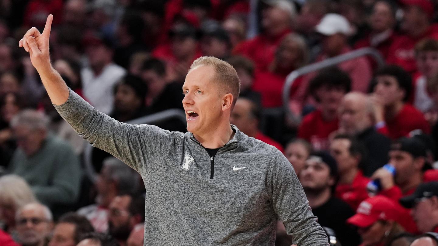 BYU Basketball's Kevin Young Linked to Chicago Bulls Job