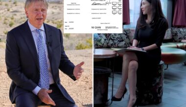 Wesley Edens blackmail suspect bailed out by Chinese foreign agent