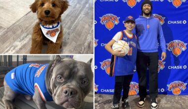 Dogs named Brunson are ready to watch the Eastern Conference finals