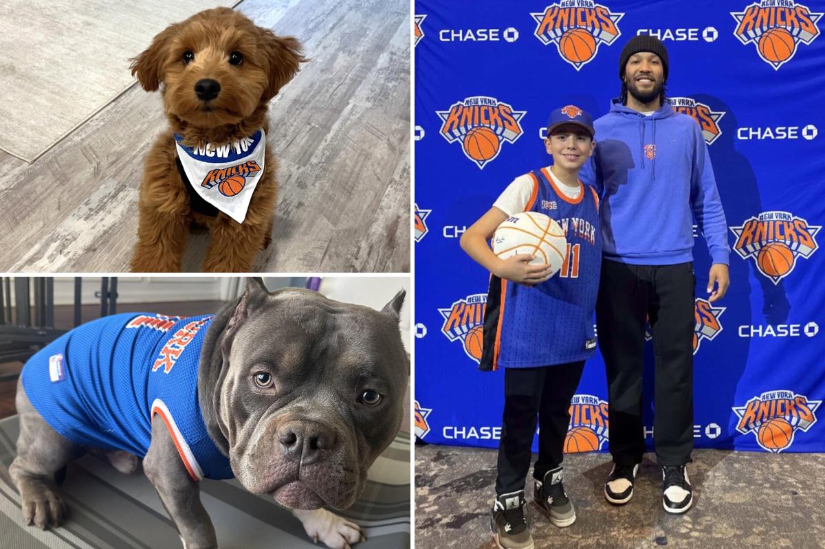 Dogs named Brunson are ready to watch the Eastern Conference finals