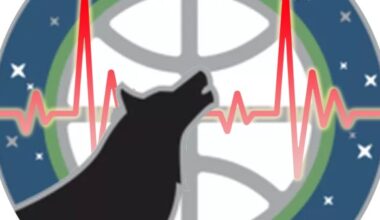 Timberwolves Survey: Canis Pulsus Vol. 50 - Memories Edition