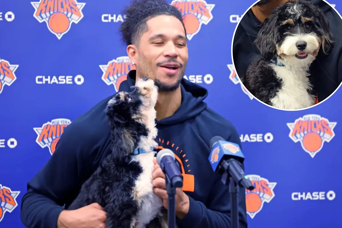 Why Josh Hart brought a dog to practice with Knicks playoffs on hold: ‘Whatever makes good vibes’