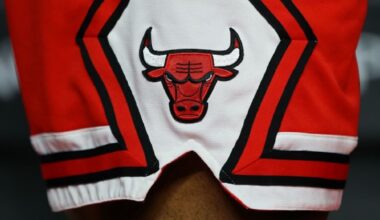 A Chicago Bulls logo on a pair of shorts