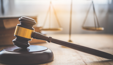 Ex-Grizzlies star pleads guilty to misdemeanor after traffic stop in NE Arkansas | Local & State News