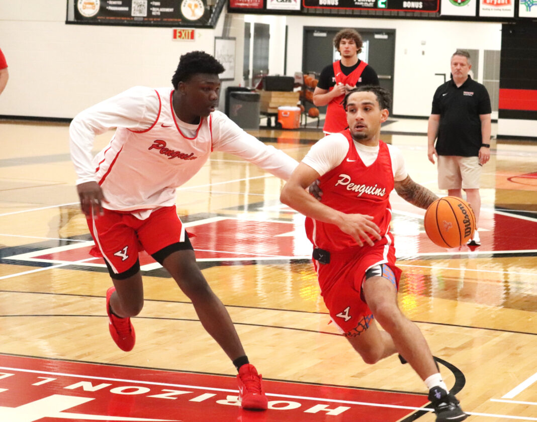 YSU men’s basketball newcomers hope to ‘prove their worth’ | News, Sports, Jobs