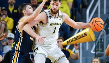 The Top 25 Michigan men’s basketball players since 1989: No. 5