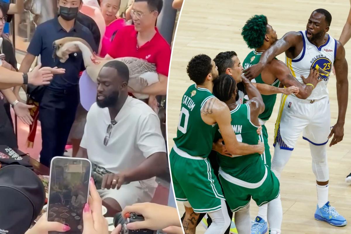 Warriors' Draymond Green startled by lion-head goose in viral video