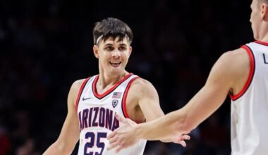 Former U of A basketball player admits to million-dollar fraud scheme | Crime