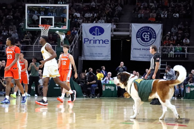 Siena Saints mascot Baloo ran onto the court late in the second half. The Syracuse Orange defeated the Siena Saints, 81-76, in an NCAA men's basketball exhibition game, on Sunday, Oct. 18, 2026, at MVP Arena, in Albany, N.Y. (Mike Gwizdala - MediaNews Group).