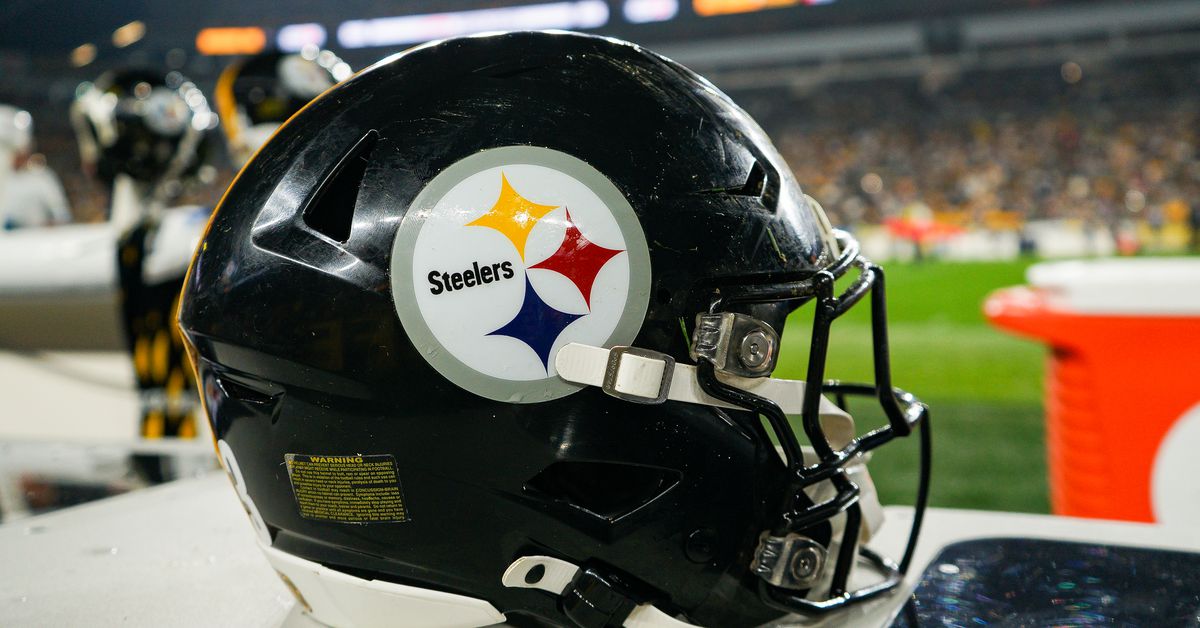 Pittsburgh Steelers release veteran linebacker