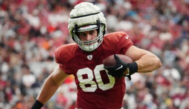 Arizona Cardinals release TE Bernhard Seikovits, OL Matthew Jones