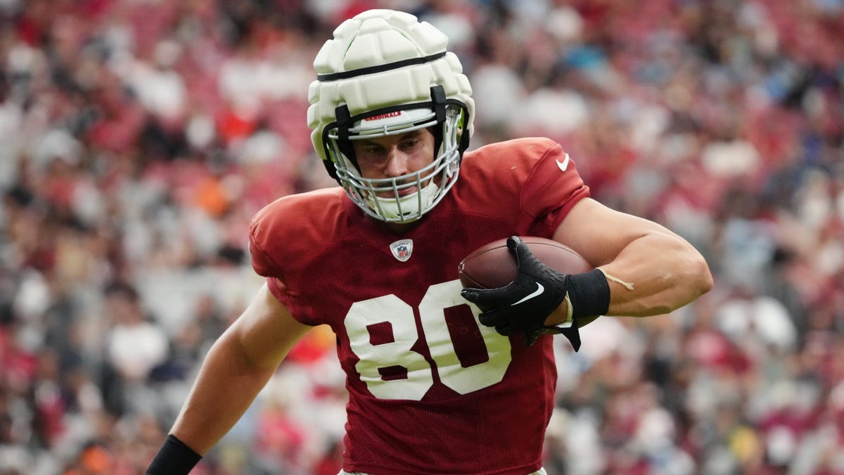 Arizona Cardinals release TE Bernhard Seikovits, OL Matthew Jones