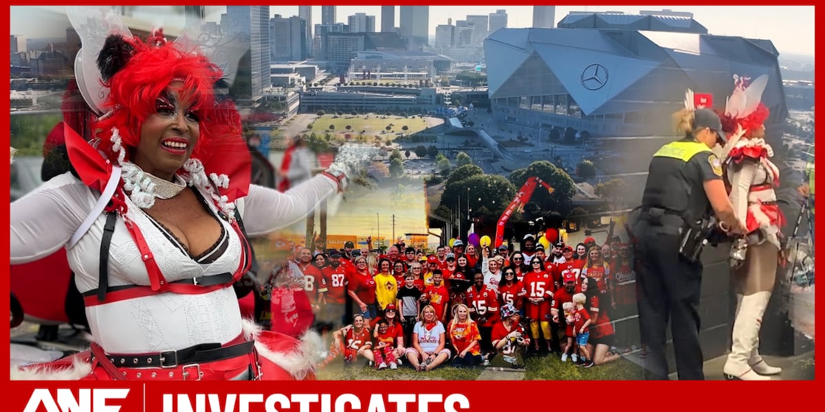 Birdlady, self-named Atlanta Falcons superfan, pleads not guilty to theft charge