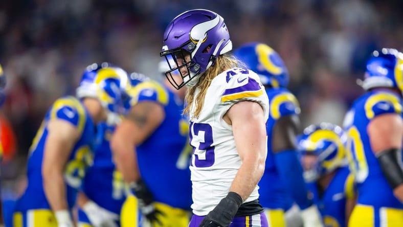 Andrew Van Ginkel - Minnesota Vikings