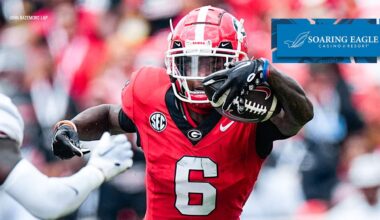 Detroit Lions wide receiver Dominic Lovett