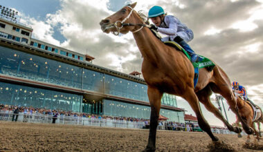 "Undrafted" horse owned by undrafted QB pulls huge upset