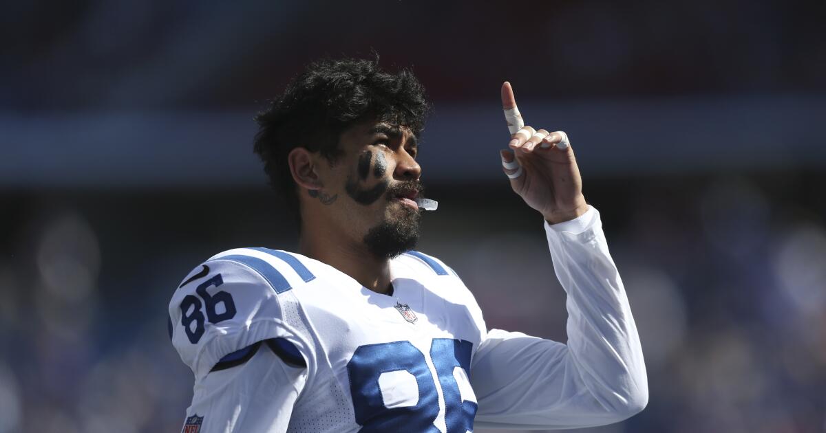 Samson Nacua, brother of Rams star Puka, suspended after slapping fan