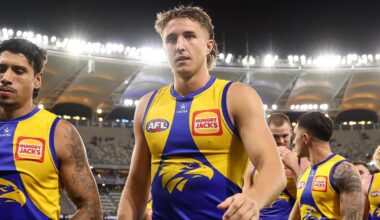 Eagles accept MRO sanctions