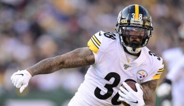 Former Pittsburgh Steelers RB Signs with CFL