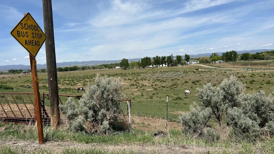 <strong>(Rick Telander / Fox 32 Chicago)</strong>