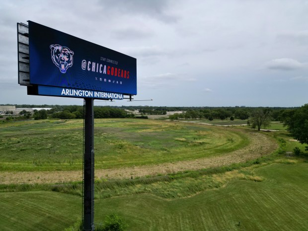 A digital billboard advertising the Chicago Bears sits near the practice track of the former Arlington International Racetrack near Route 53 and Northwest Highway on June 25, 2024, in Arlington Heights. (Stacey Wescott/Chicago Tribune)