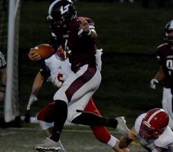 Former Lancer QB Watkins lands NFL workout with Bucs | News, Sports, Jobs