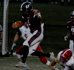 Former Lancer QB Watkins lands NFL workout with Bucs | News, Sports, Jobs