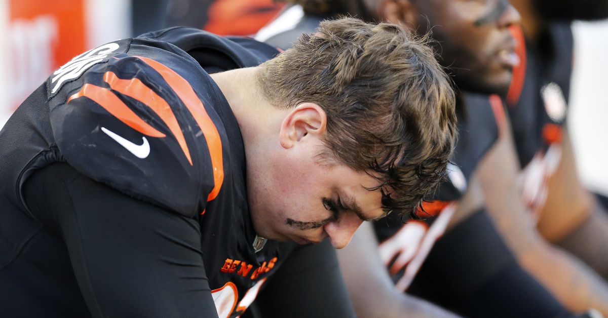 AFC North: Bengals in drama, Steelers lack a QB, Browns lacking, Ravens ready