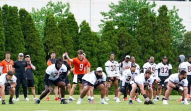 Bengals News: OTA storylines - Cincy Jungle