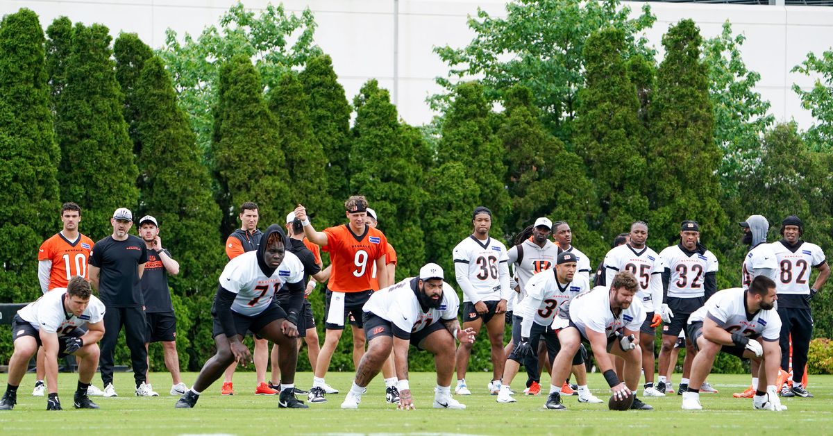 Bengals News: OTA storylines - Cincy Jungle