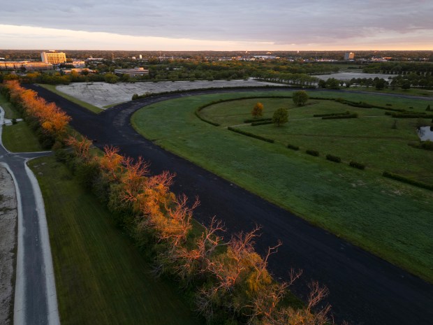 Rows of trees on the southern edge of the former...
