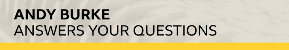 Rugby Q&A banner