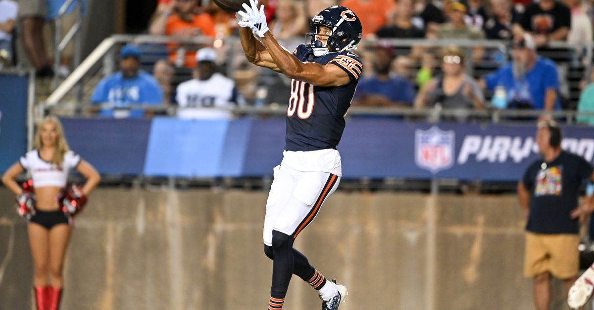 Raiders roster 2025: Get to know wide receiver Collin Johnson