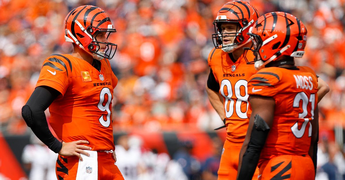 How the Bengals’ 2024 free agent moves, NFL Draft class, and trades look a year later