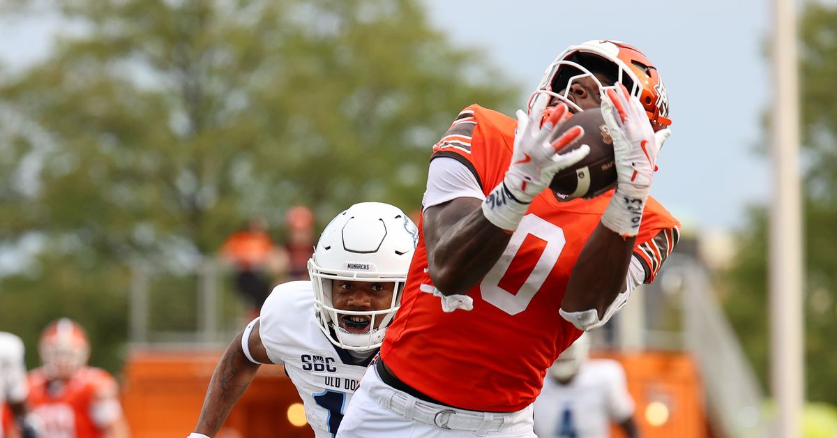 Houston Texans 2025 NFL Mock Draft, Another Perspective