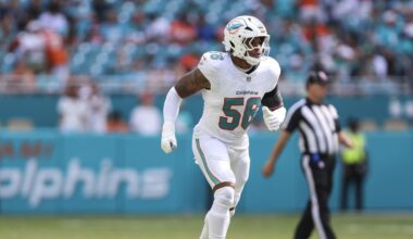 Miami Dolphins roster moves: Bradley-King waived, Gabbert signed