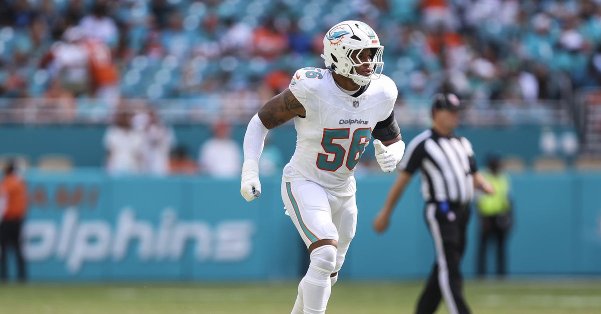 Miami Dolphins roster moves: Bradley-King waived, Gabbert signed