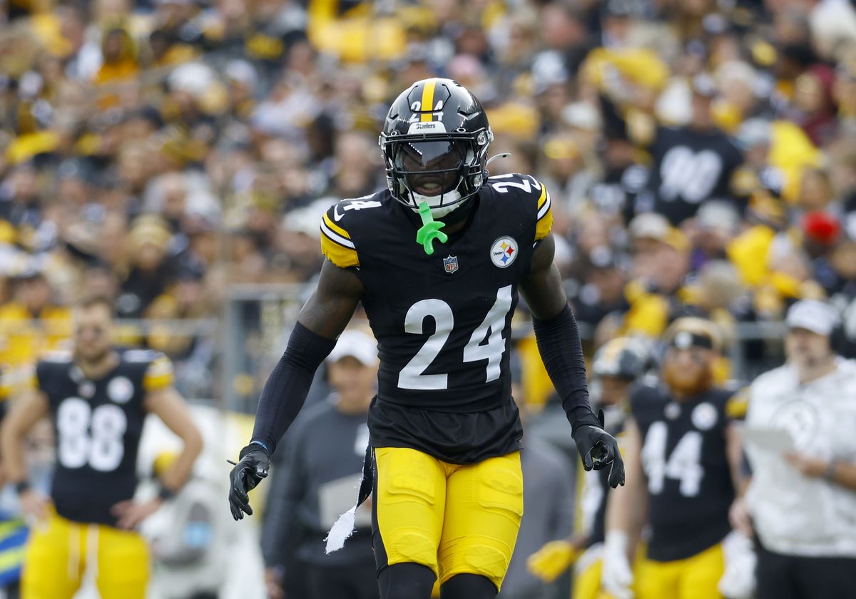 Baltimore Ravens v Pittsburgh Steelers