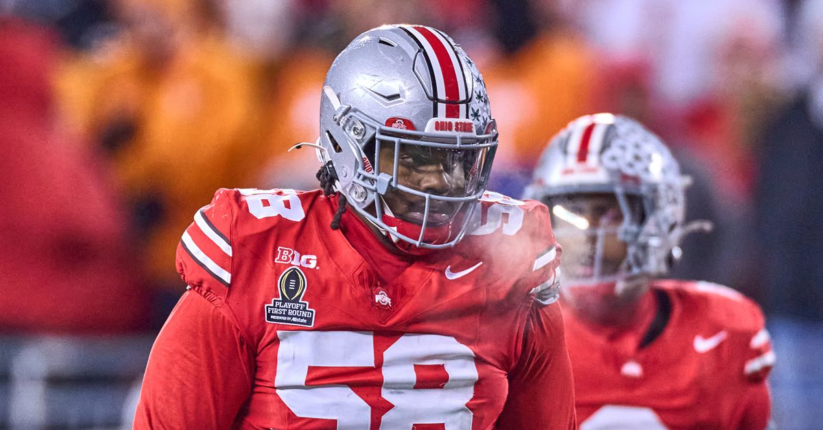 Can rookie DL Ty Hamilton help anchor the Rams run defense in 2025?